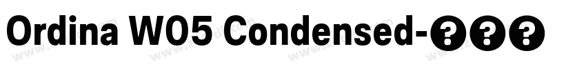 Ordina W05 Condensed字体转换 Ordina W05 Condensed字体转换